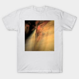Rings of Fire T-Shirt